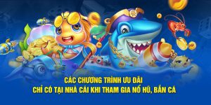 Các chương trình ưu đãi chỉ có tại nhà cái 