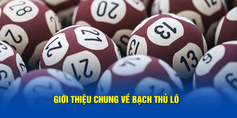 Giới thiệu chung về bạch thủ lô 